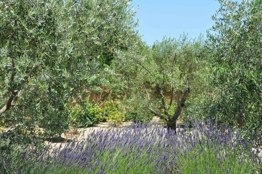 La Maison De Line Saint-Rémy-de-Provence Oda fotoğraf
