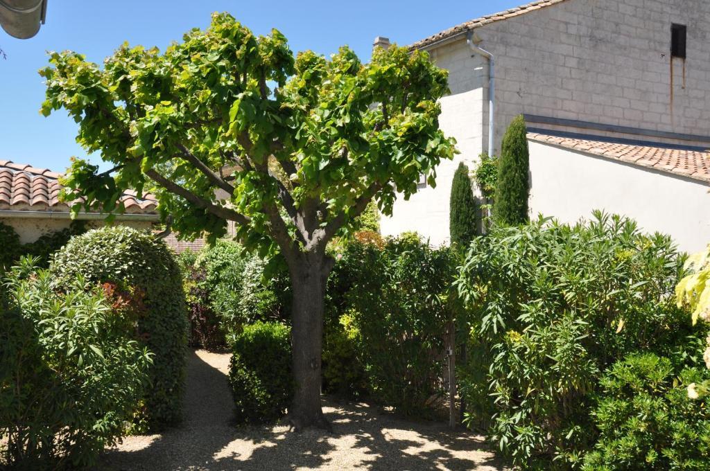La Maison De Line Saint-Rémy-de-Provence Dış mekan fotoğraf